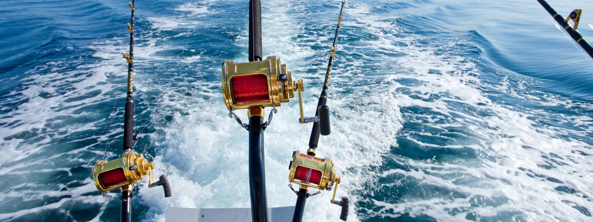 What to Expect on a Chartered Deep Sea Fishing Trip