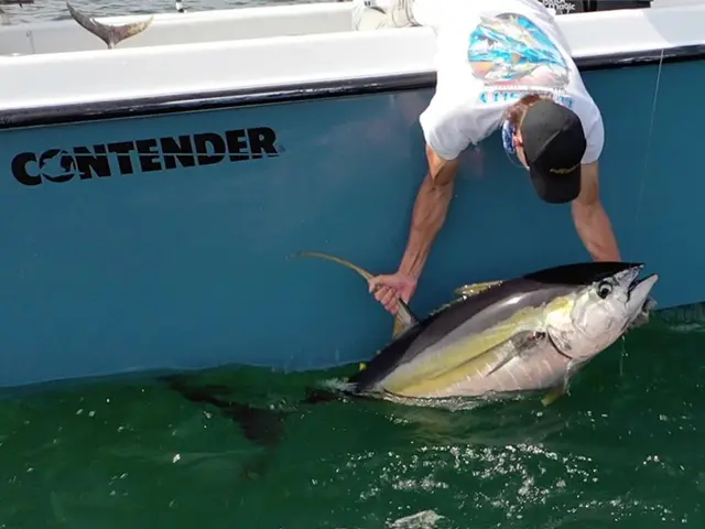 tuna-fishing