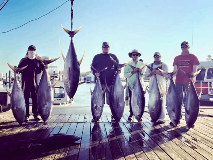 big-catch